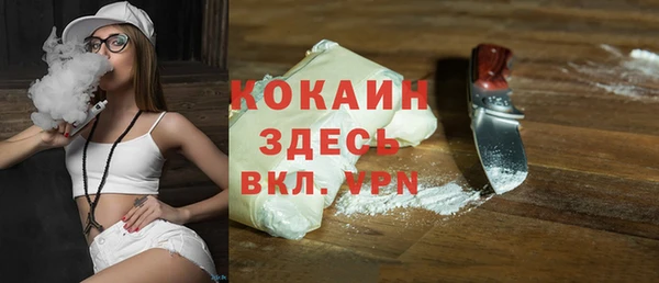 дживик Новозыбков