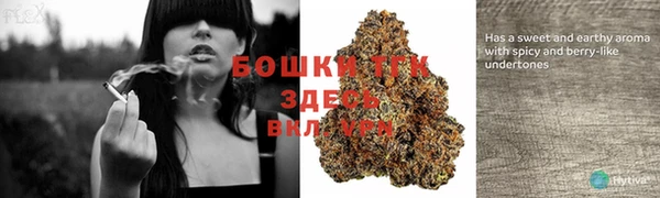 мдпв Новокубанск
