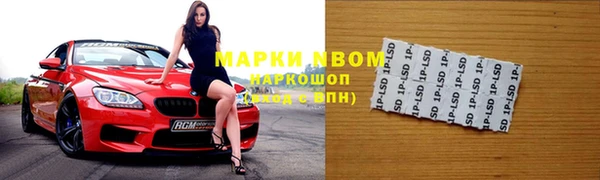 дживик Новозыбков