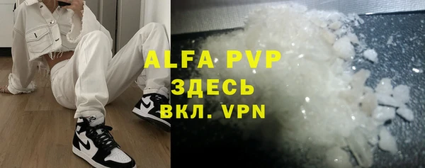 дживик Новозыбков