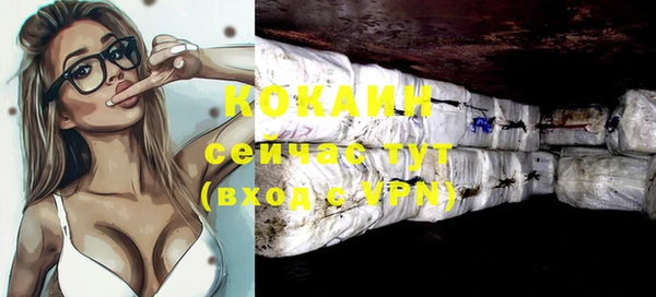 дживик Новозыбков