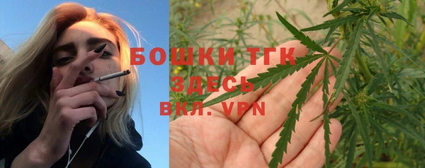 дживик Новозыбков