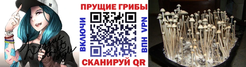 Псилоцибиновые грибы мухоморы  Разумное 